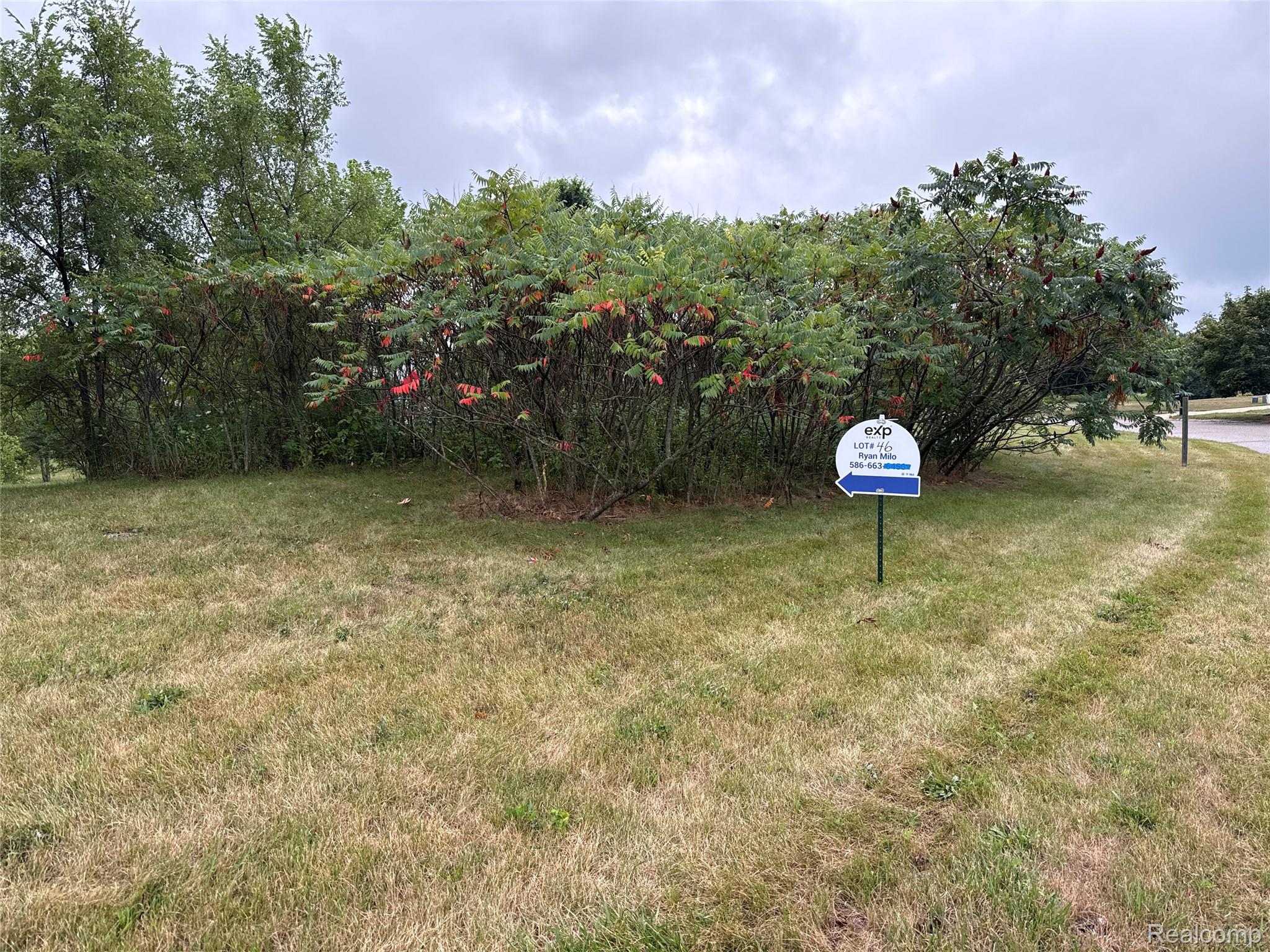 Land in Augusta Charter Township 2