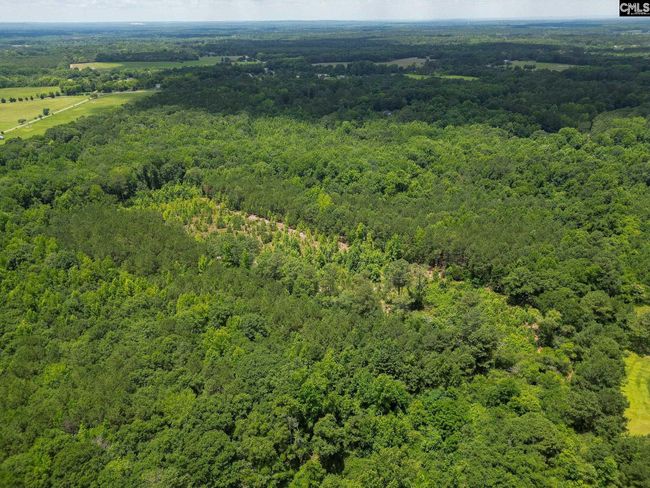 00 Kirkland Rd, Home with 0 bedrooms, 0 bathrooms and null parking in Rembert SC | Image 5