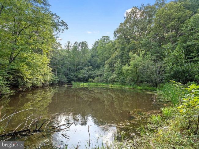 43 Briar Patch Ln, House other with 3 bedrooms, 4 bathrooms and null parking in BOSTON VA | Image 32