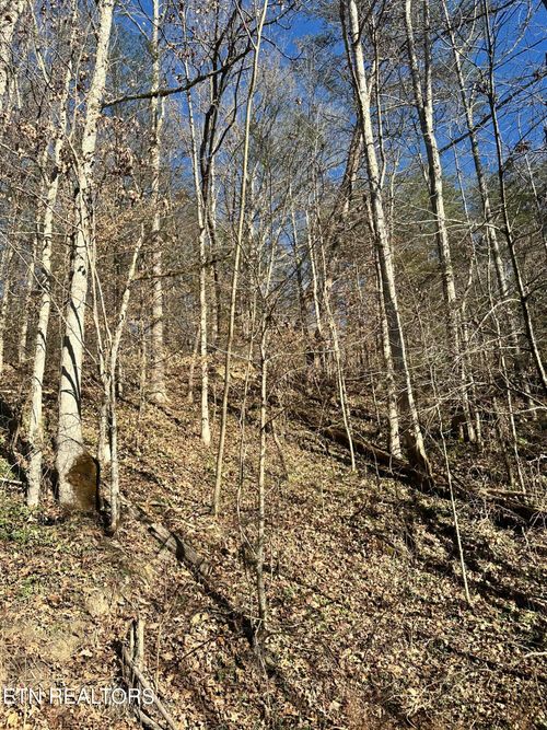 +-27 Acres Pleasant Valley Rd, COSBY, TN, 37722 | Card Image