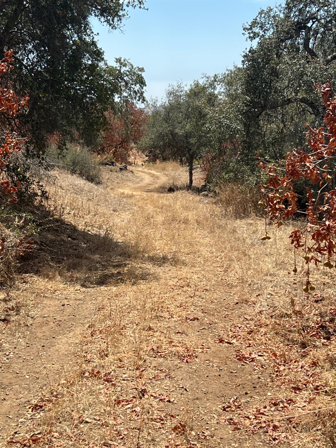 Land in Yokuts Valley 5