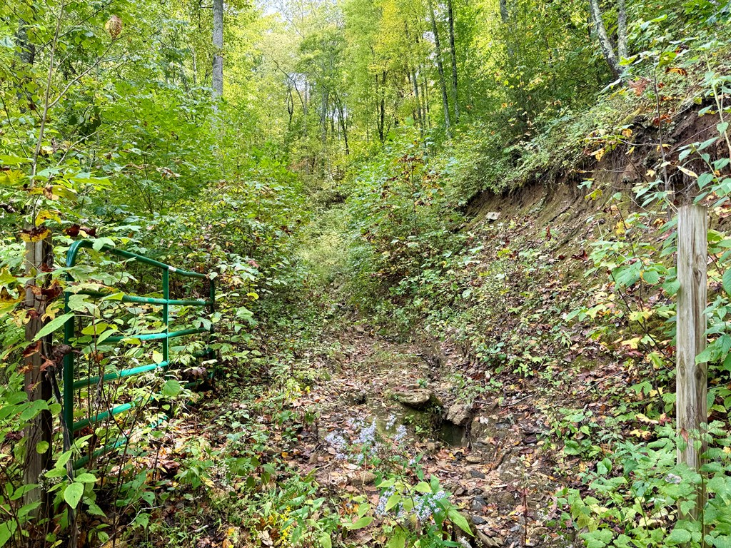 Land in Glenville 5