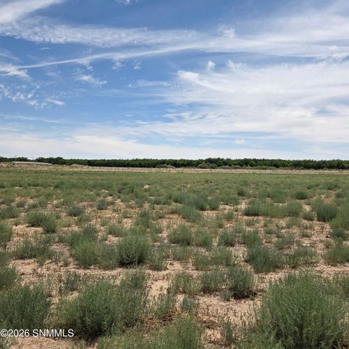 2c-6525 Valle Del Rio Dr, La Mesa, NM, 88044-9668 | Card Image