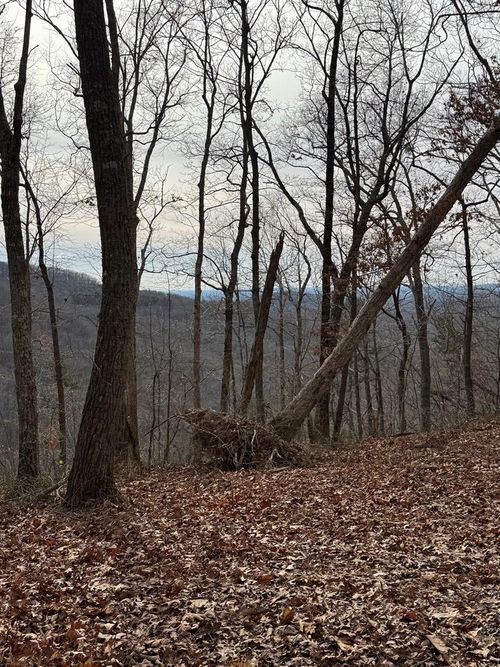 Lot 109A Folkstone Rd, Talking Rock, GA, 30175 | Card Image