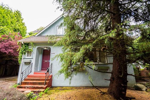 {{alt}} | Card Image