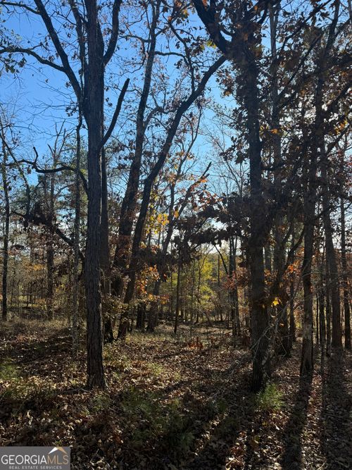 LOT 216 Anthemis Rd, Sparta, GA, 31087-6027 | Card Image
