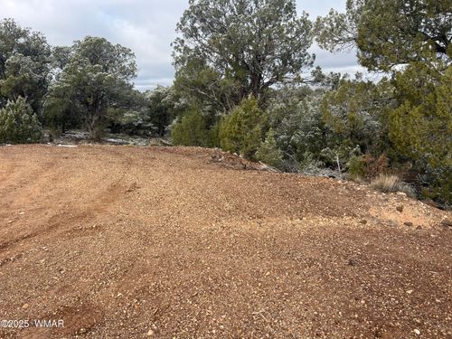 1847 Rocky Bottom Pl, Show Low, AZ, 85901 | Card Image