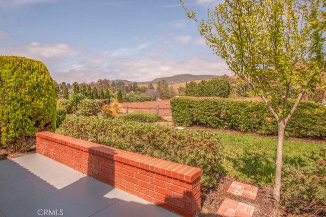 Gorgeous panoramic view of trees and hills from the rear patio. | Image 28