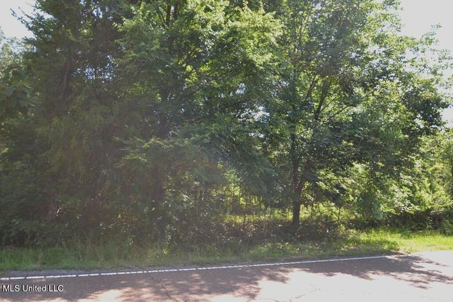 Dunn Lane | Image 5