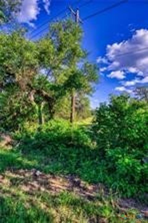 12121 Fm 32, Fischer, TX, 78623-2015 | Card Image