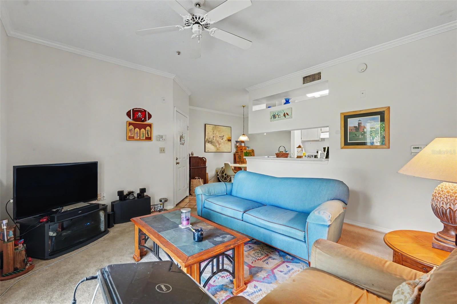 Residential in TAMPA 4