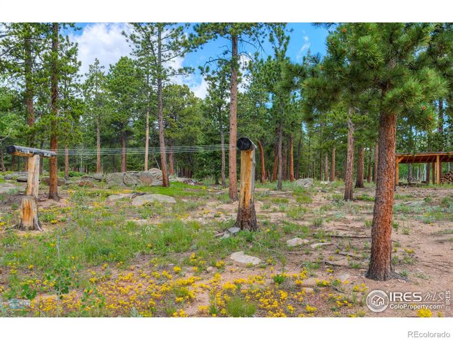 440 Grizzly Dr, House other with 2 bedrooms, 2 bathrooms and 2 parking in Ward CO | Image 25