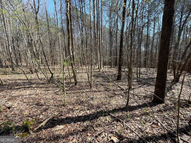 2 - 0 Joe Cook Rd, Home with 0 bedrooms, 0 bathrooms and null parking in Franklin GA | Image 8