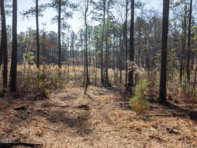 31-031-Tract2-RobedoRd-MontgomeryCounty- | Image 27