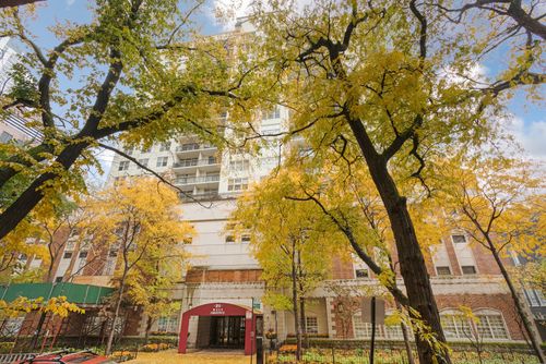 1106-21 Chestnut St, Chicago, IL, 60610-3371 | Card Image
