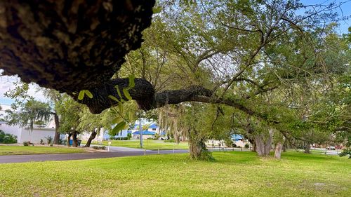 0 Bay Shore Dr, Panama City Beach, FL, 32407 | Card Image