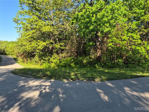 0 Rue Chambly, Bonne Terre, MO, 63628 | Card Image