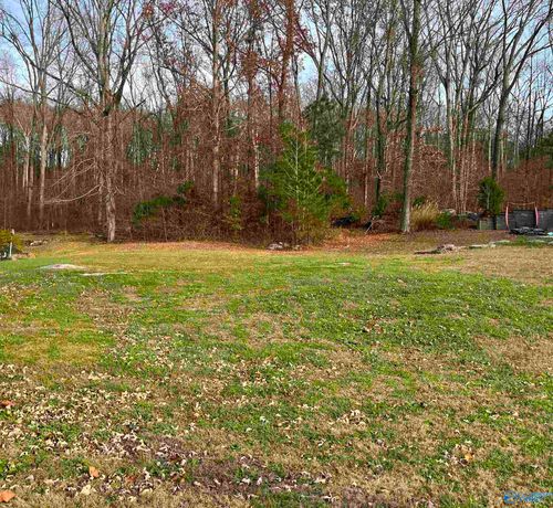 105 Amber Way, Decatur, AL, 35603-5264 | Card Image