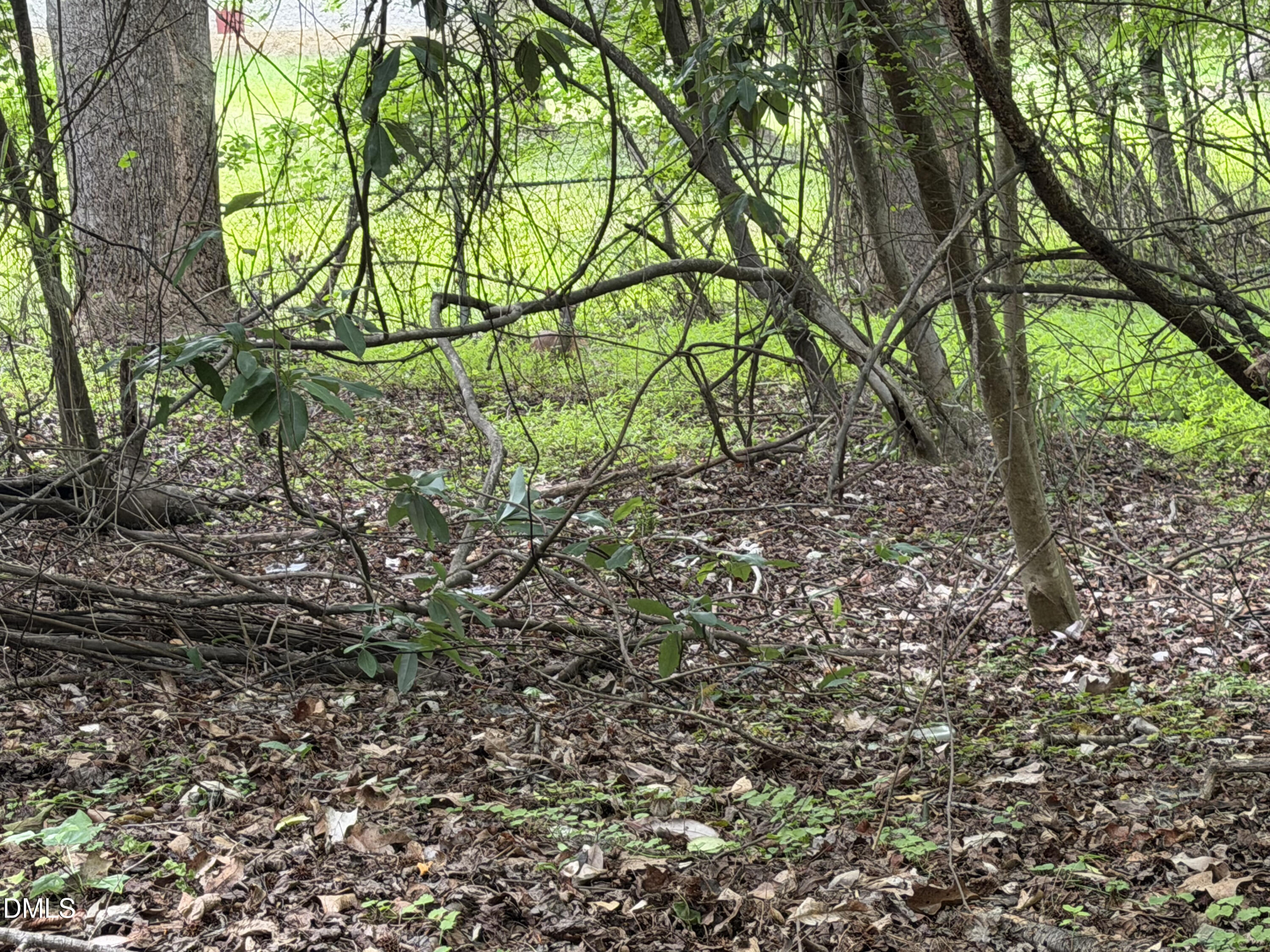 Land in Holly Springs 3