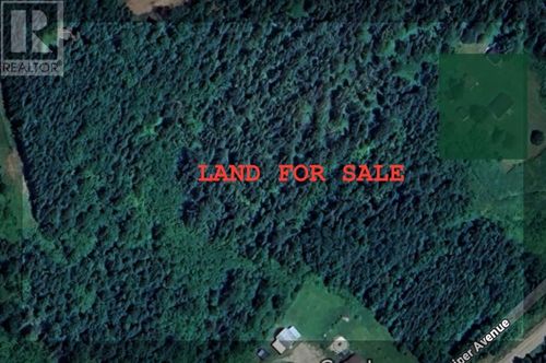 50 a Juniper Ave, Cormack, NL, A8A2M7 | Card Image