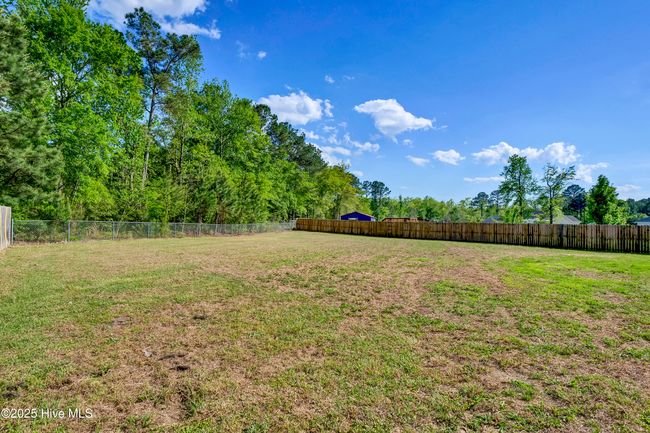 304 Big Tree Ln, House other with 3 bedrooms, 2 bathrooms and 1 parking in Chinquapin NC | Image 32