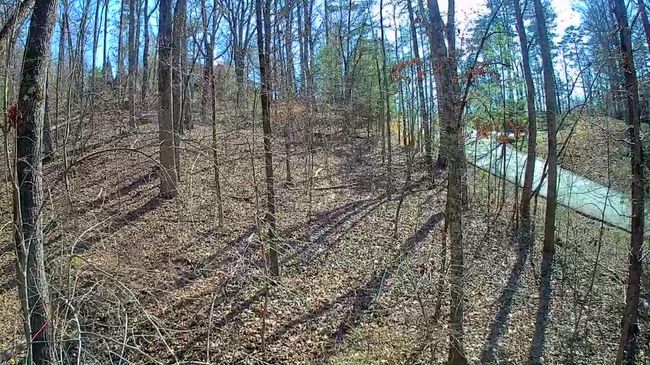 0 N Woods Ln, Home with 0 bedrooms, 0 bathrooms and null parking in Trenton GA | Image 15