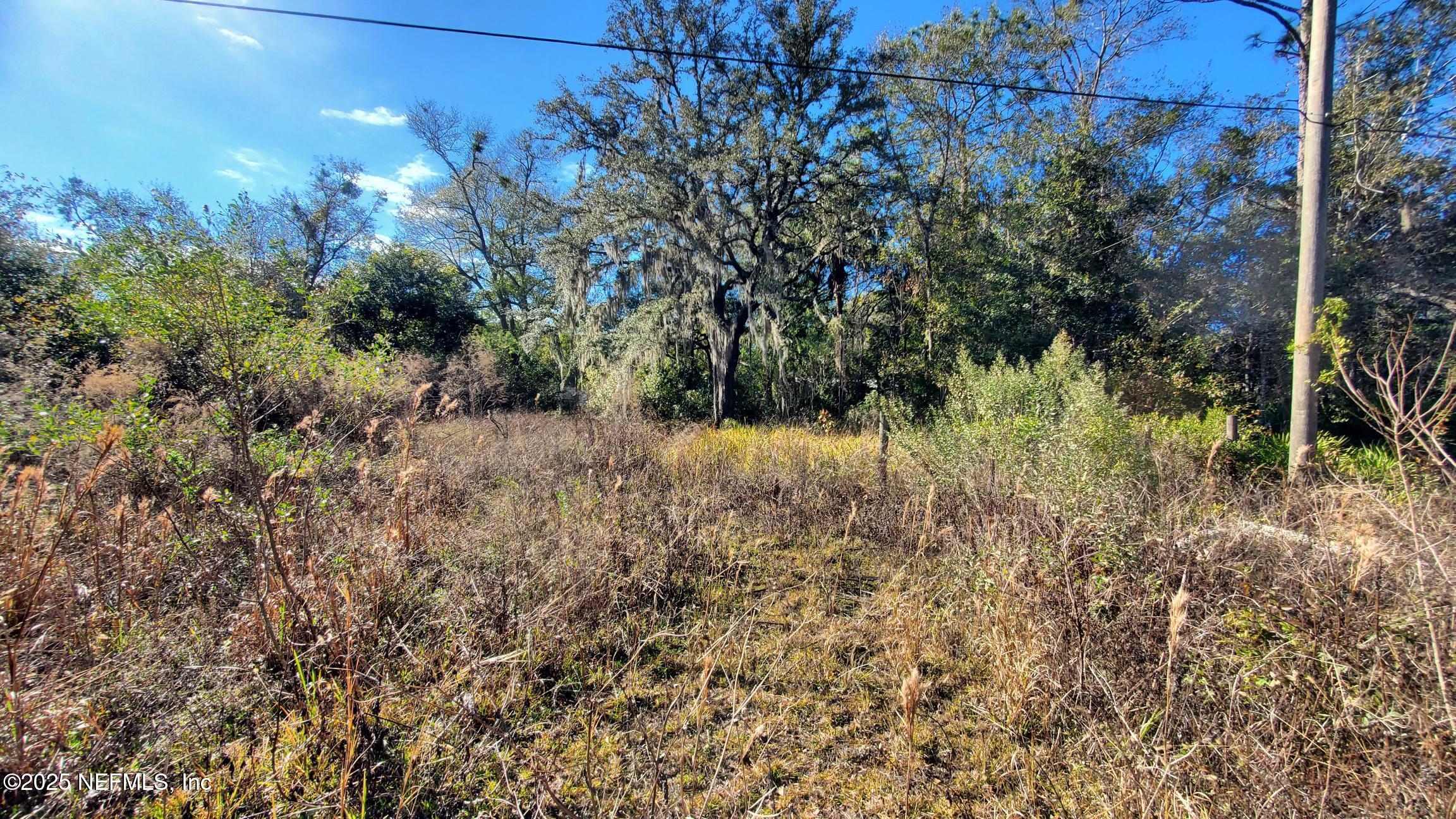 Land in Interlachen 2