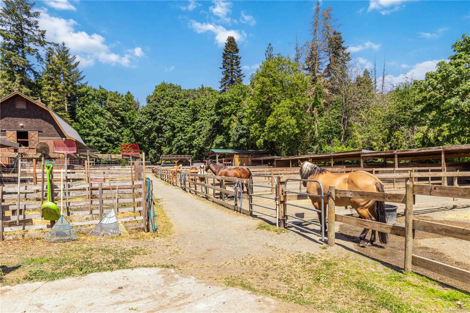 Residential in Sooke