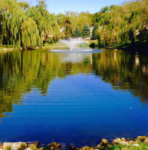 1005 Lakefront Dr, Lexington, KY, 40517 | Card Image