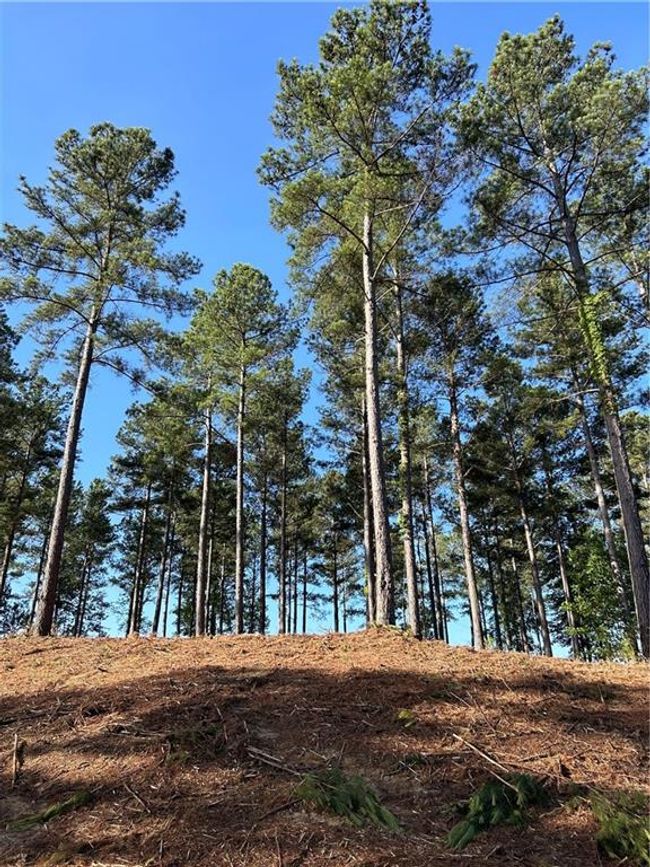 Lot 2 Little Keowee Boulevard, Home with 0 bedrooms, 0 bathrooms and null parking in West Union SC | Image 15