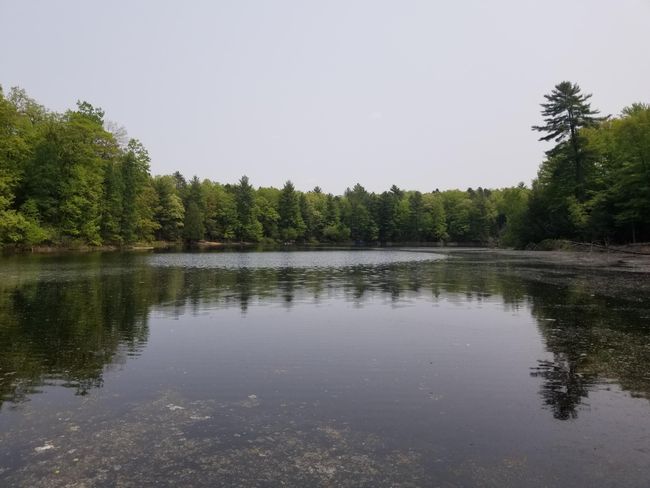16 W 12 Mile Rd, Home with 0 bedrooms, 0 bathrooms and null parking in Irons MI | Image 6
