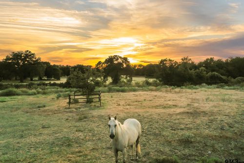 1709 County Road 4680, Boyd, TX, 76023-4422 | Card Image