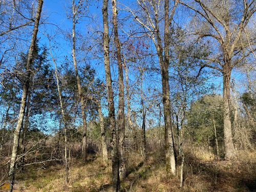 012 Ga Highway 200, Damascus, GA, 39841-7030 | Card Image