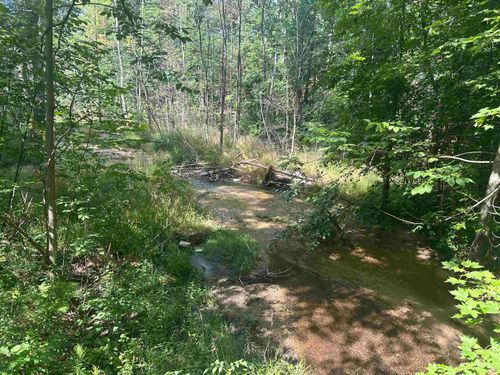 Parcel 2 S M-88, Custer Township, MI, 49615 | Card Image
