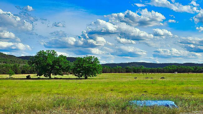 1205 Elm Creek Rd, Home with 0 bedrooms, 0 bathrooms and null parking in Medina TX | Image 8