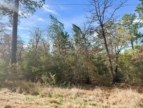 106 Olomana Ct, Bastrop, TX, 78602-6045 | Card Image