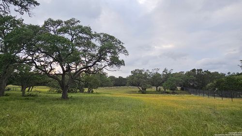 874 Maximino Rdg, Bulverde, TX, 78163 | Card Image