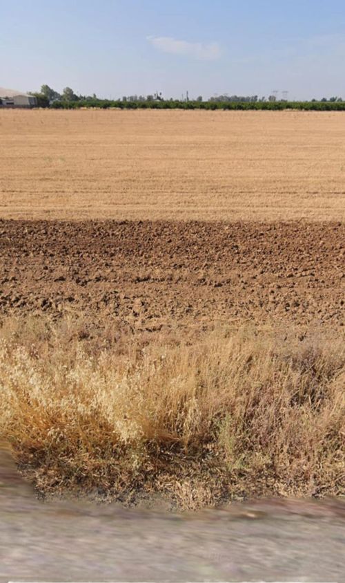 0 Avenue 428, Orosi, CA, 93647 | Card Image