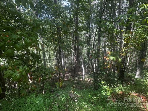00 Rabbit Hop Rd, Spruce Pine, NC, 28777 | Card Image