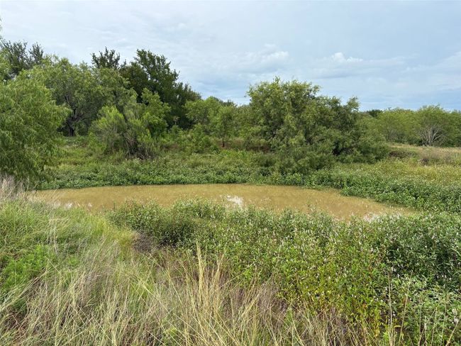 View of undeveloped land | Image 8