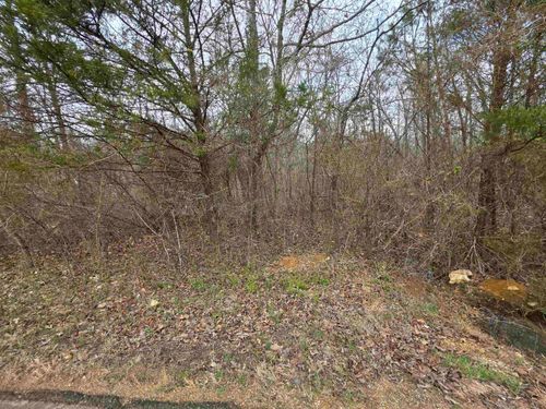 L15 B3 S Summit Ridge Drive, Ozark Acres, AR, 72482 | Card Image