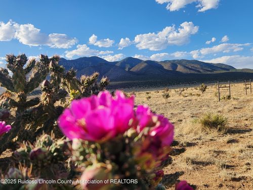 L4 O Bar O Road, Carrizozo, NM, 88301 | Card Image