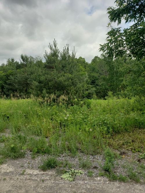 59 Hutchinson Rd, Warkworth, ON, K0K3K0 | Card Image