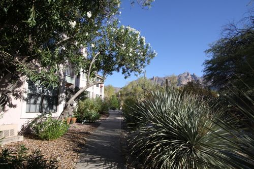 17-3230 E Calle De La Punta, Tucson, AZ, 85718 | Card Image