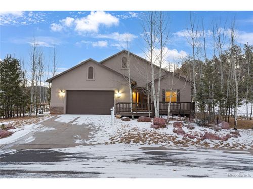 1157 Ptarmigan Dr, Woodland Park, CO, 80863 | Card Image