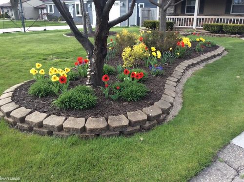 27327 Wyly St, Chesterfield, MI, 48047-4938 | Card Image