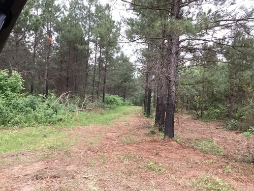 1935 Highway 24 E, Prescott, AR, 71857-7904 | Card Image