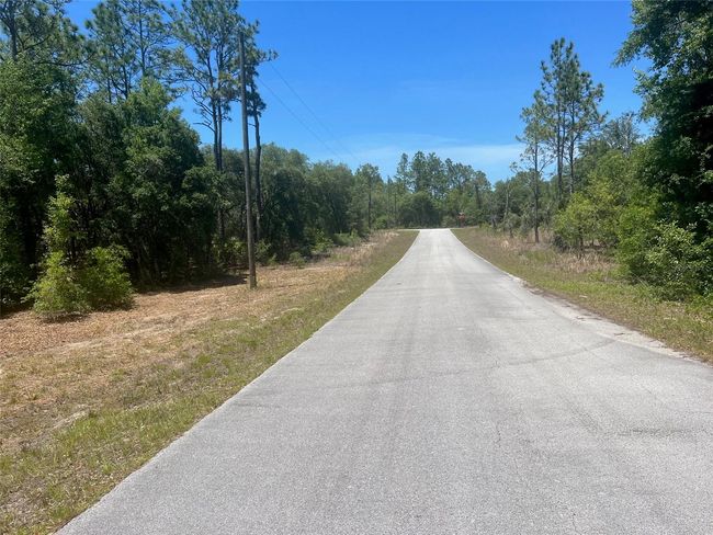 00 Sw Wood Road, Home with 0 bedrooms, 0 bathrooms and null parking in Dunnellon FL | Image 3