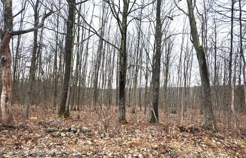 Tbd Irish Cape Rd, Ellenville, NY, 12428 | Card Image