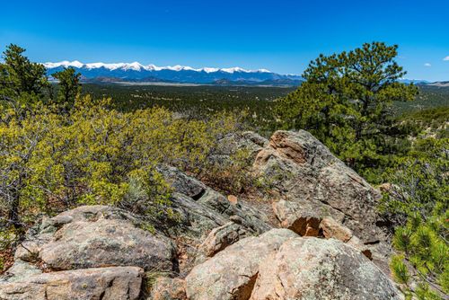 TR-17 White Wing Way, Cotopaxi, CO, 81223 | Card Image
